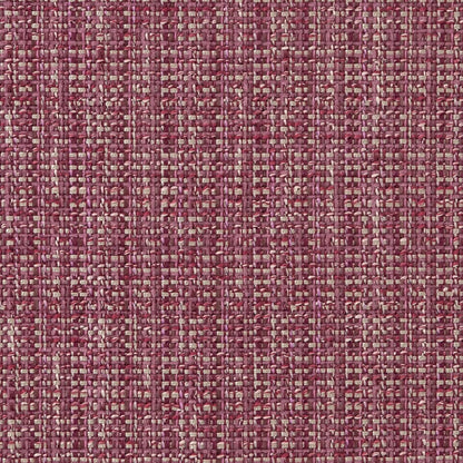 CB900-45 Plain & Solid nan Purple Charlotte Colors