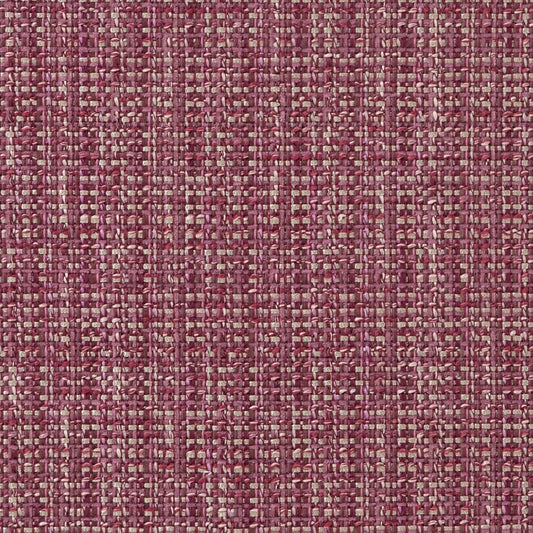CB900-45 Plain & Solid nan Purple Charlotte Colors