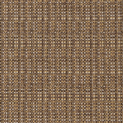 CB900-55 Plain & Solid nan Brown Charlotte Colors