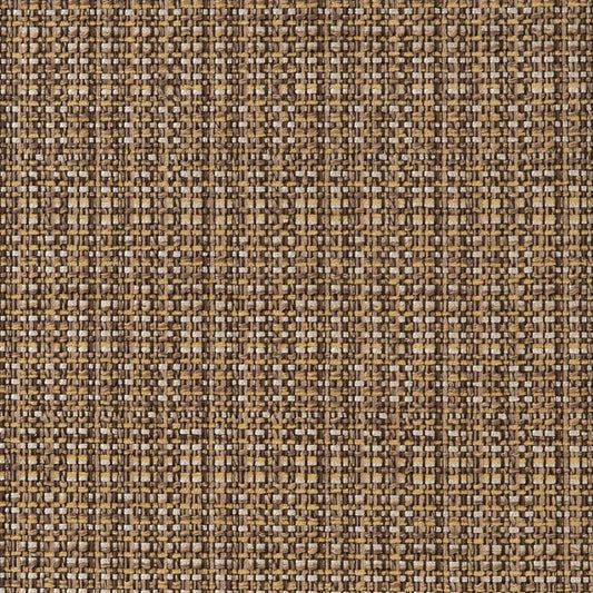 CB900-55 Plain & Solid nan Brown Charlotte Colors