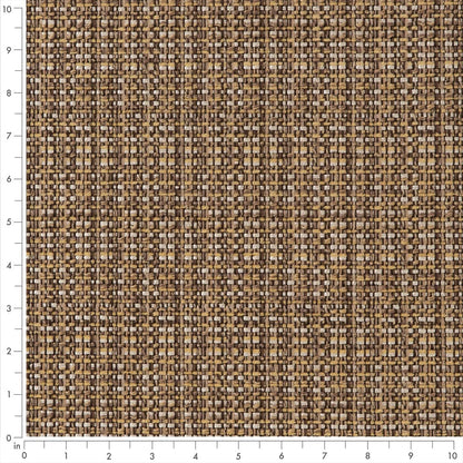 CB900-55 Plain & Solid nan Brown Charlotte Colors