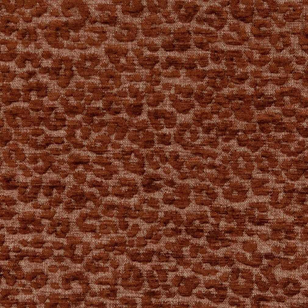 CB900-72 Animal Print nan Orange & Rust Charlotte Colors