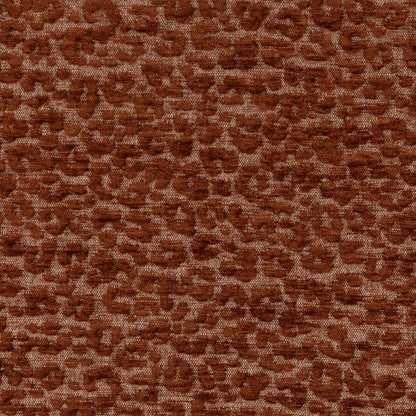CB900-72 Animal Print nan Orange & Rust Charlotte Colors