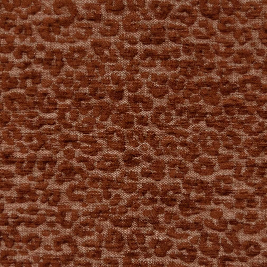 CB900-72 Animal Print nan Orange & Rust Charlotte Colors
