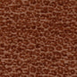 CB900-72 Animal Print nan Orange & Rust Charlotte Colors