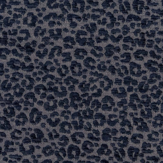 CB900-84 Animal Print nan Blue Charlotte Colors