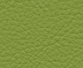 CDA113 Maxwell FAUX LEATHER # 113 SCALLION VINYLSI