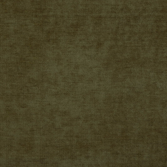 CDN1639 Maxwell CHENILLES SOLIDS/TEXTURES # 1639 OLIVE CURLEDUPIII