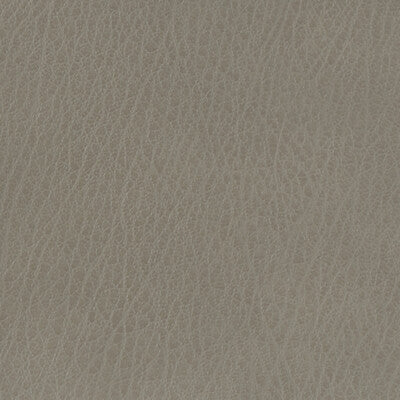 CELINE-11 KRAVET BASICS CELINE-11 KRAVET BASICS UPHOLSTERY