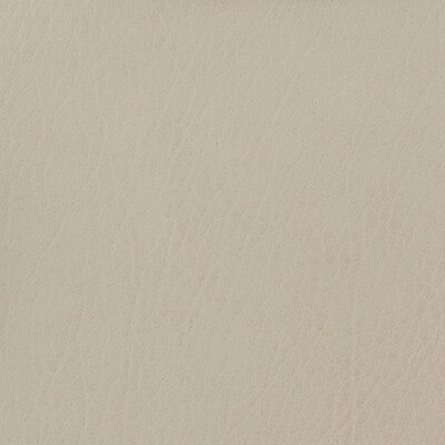 CELINE-111 KRAVET BASICS CELINE-111 KRAVET BASICS UPHOLSTERY