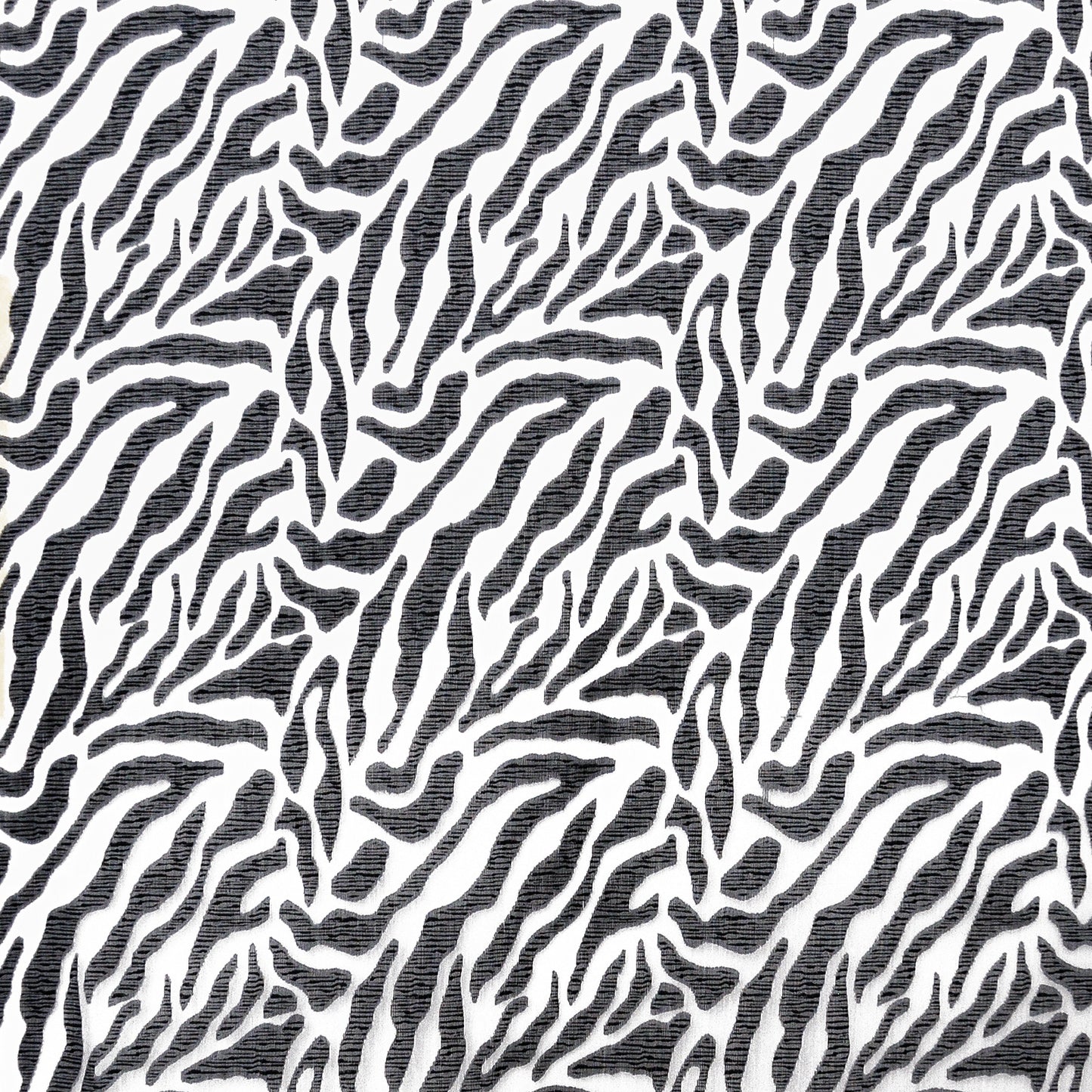 CEQ066 Maxwell SHEER PATTERN # 66 KHAN SHEERSTYLE