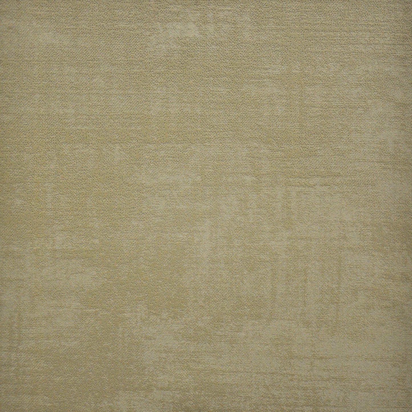 CFO713 Maxwell VELVET SOLID/TEXTURE # 713 BRANCH VELVETROOM