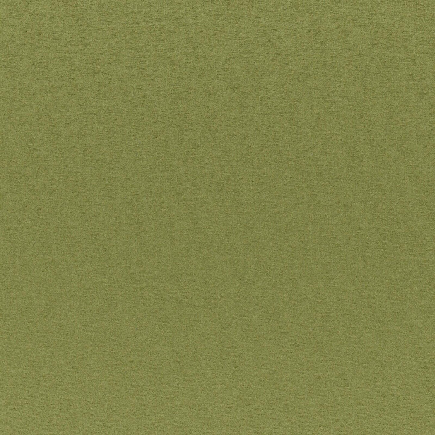CGK741 Maxwell CHENILLES SOLIDS/TEXTURES # 741 GRASS CURLEDUPVII