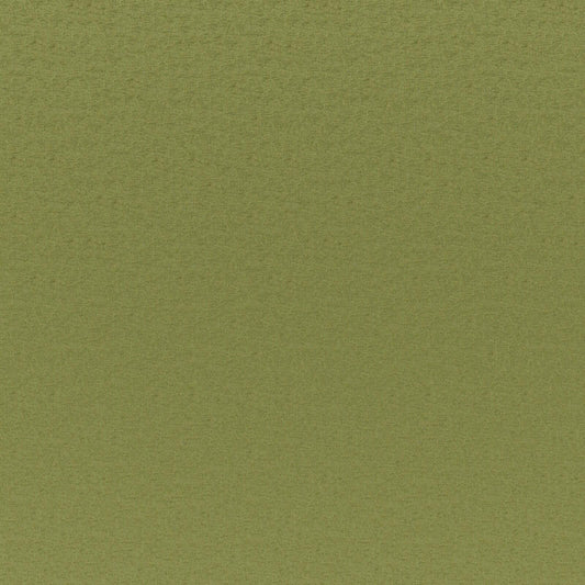 CGK741 Maxwell CHENILLES SOLIDS/TEXTURES # 741 GRASS CURLEDUPVII