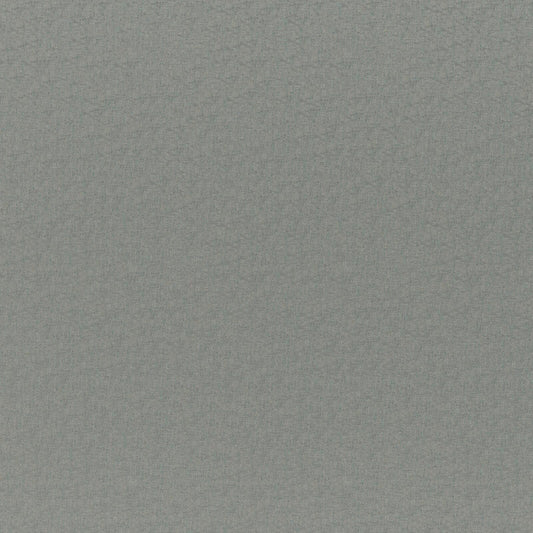 CGK772 Maxwell CHENILLES SOLIDS/TEXTURES # 772 HAZE CURLEDUPVII