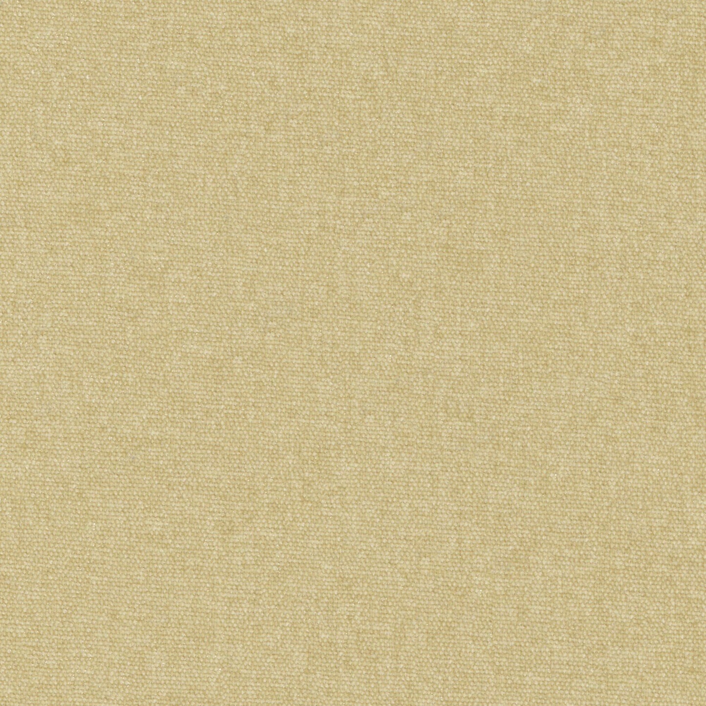 CHE804 Maxwell CHENILLES SOLIDS/TEXTURES # 804 OATMEAL CURLEDUPVIII
