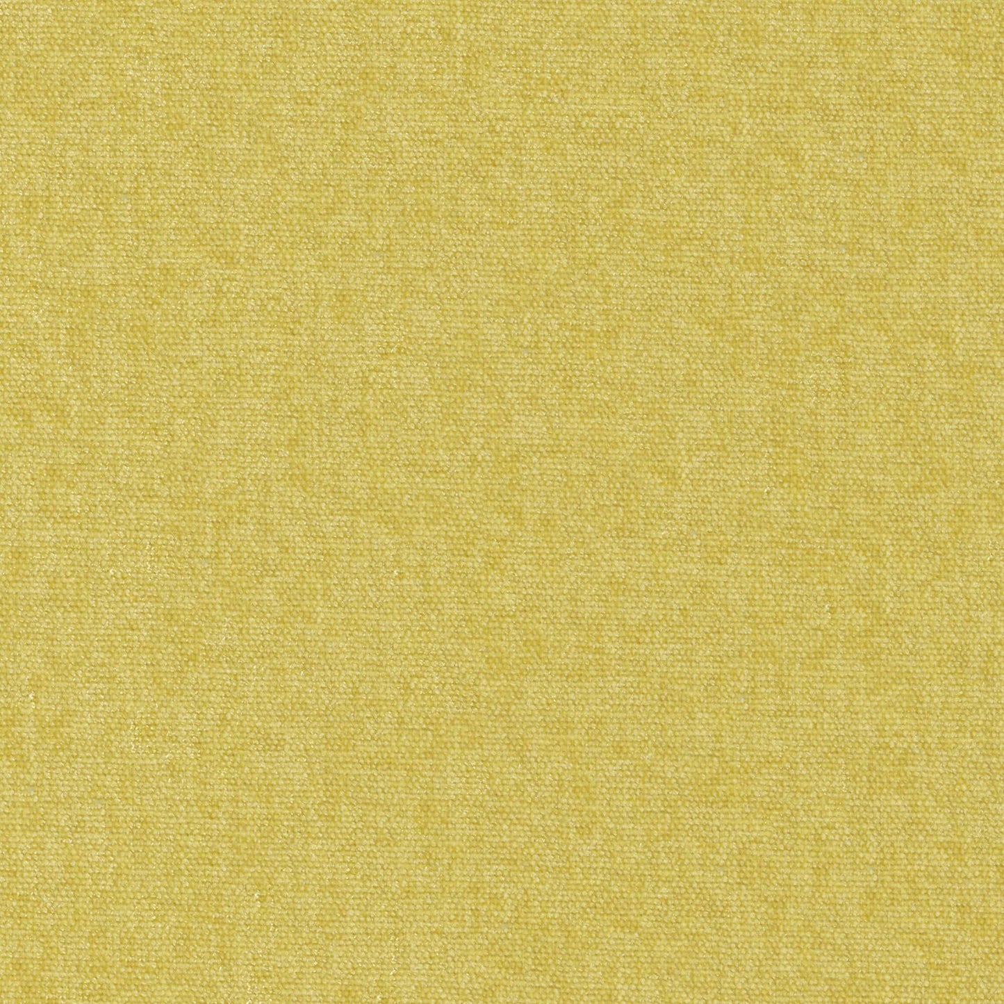 CHE805 Maxwell CHENILLES SOLIDS/TEXTURES # 805 LINDEN CURLEDUPVIII