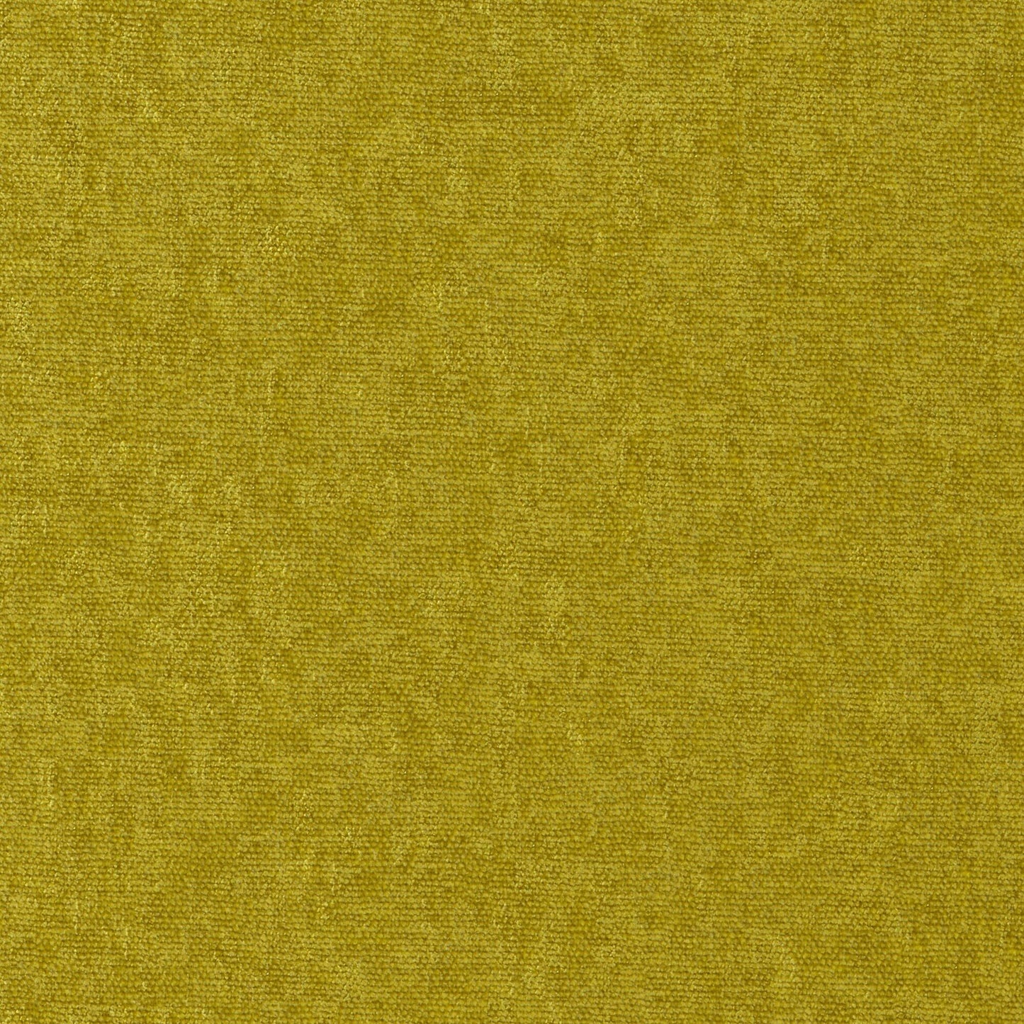 CHE806 Maxwell CHENILLES SOLIDS/TEXTURES # 806 TURTLE CURLEDUPVIII