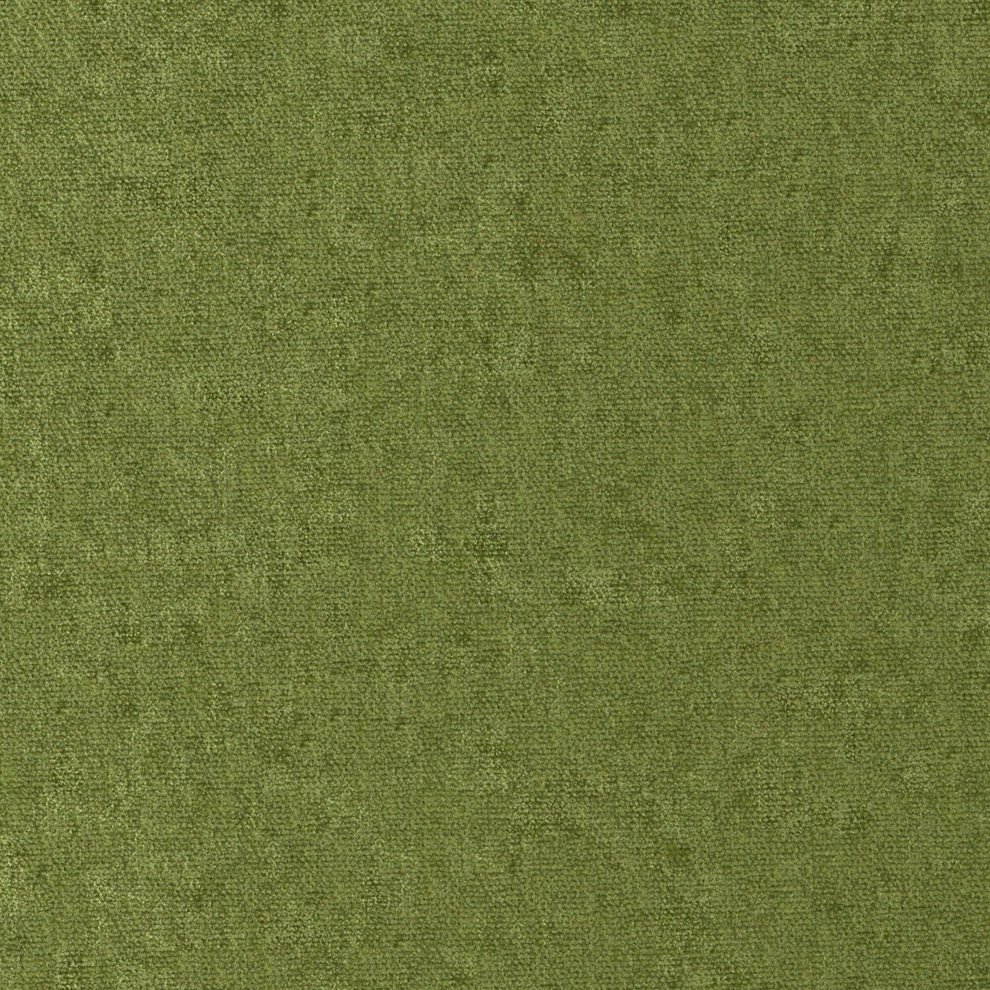 CHE811 Maxwell CHENILLES SOLIDS/TEXTURES # 811 GRASS CURLEDUPVIII