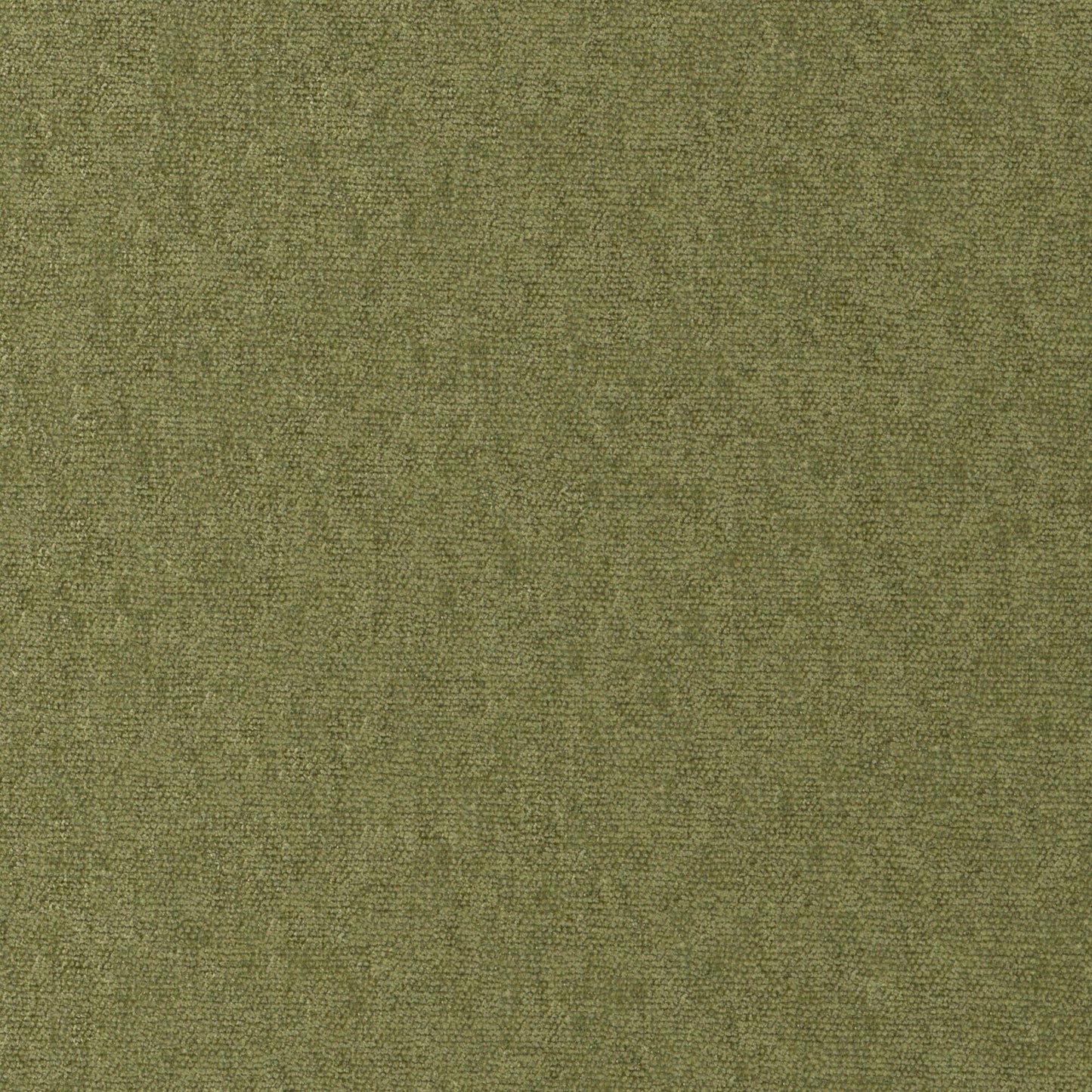 CHE812 Maxwell CHENILLES SOLIDS/TEXTURES # 812 OLIVE CURLEDUPVIII