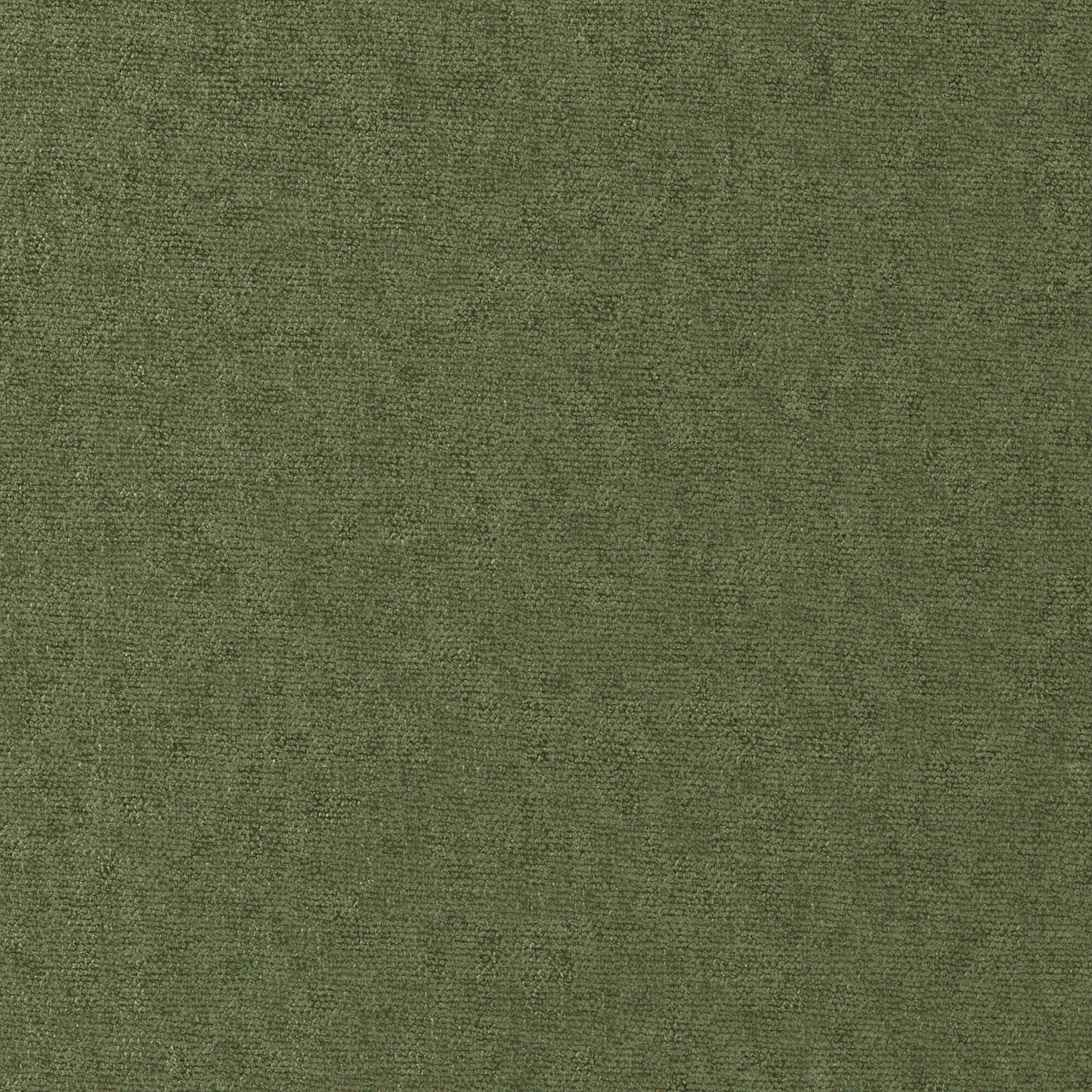 CHE815 Maxwell CHENILLES SOLIDS/TEXTURES # 815 PESTO CURLEDUPVIII