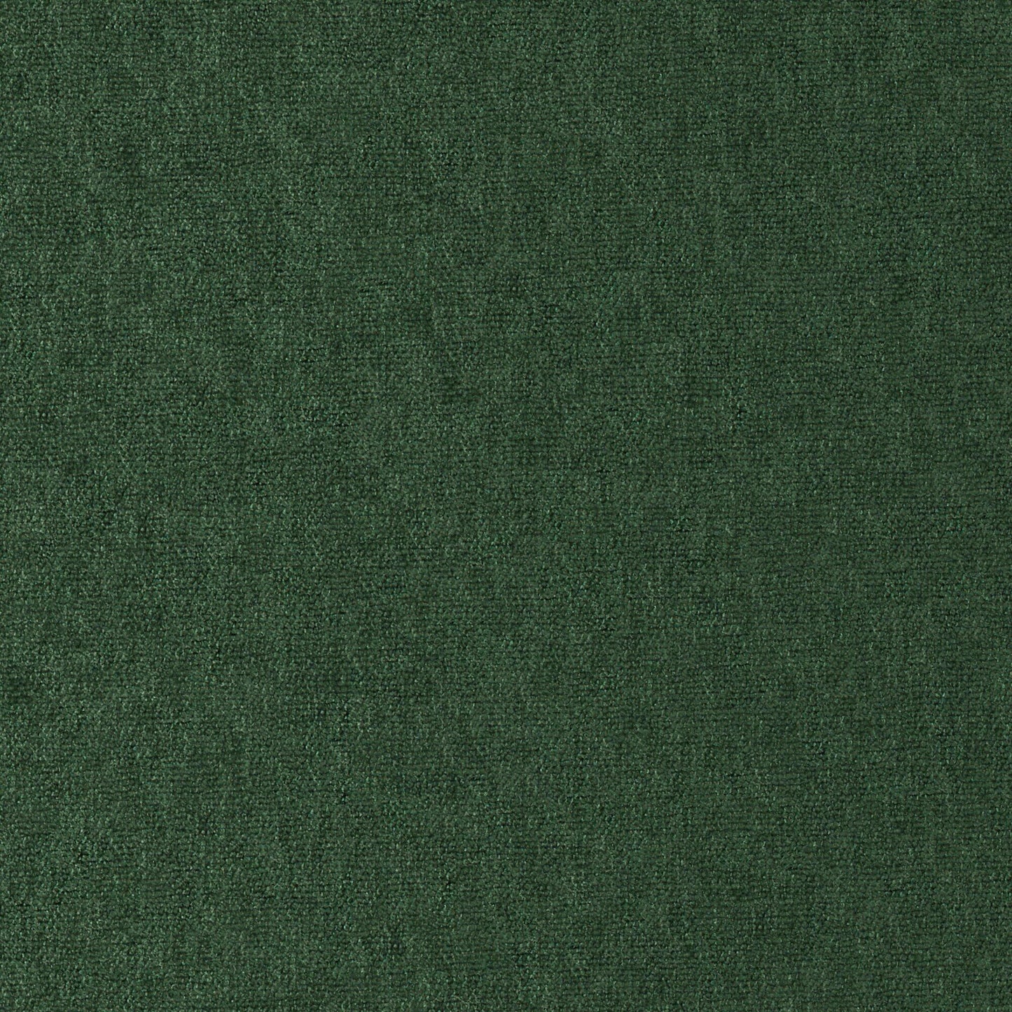 CHE818 Maxwell CHENILLES SOLIDS/TEXTURES # 818 BALSAM CURLEDUPVIII