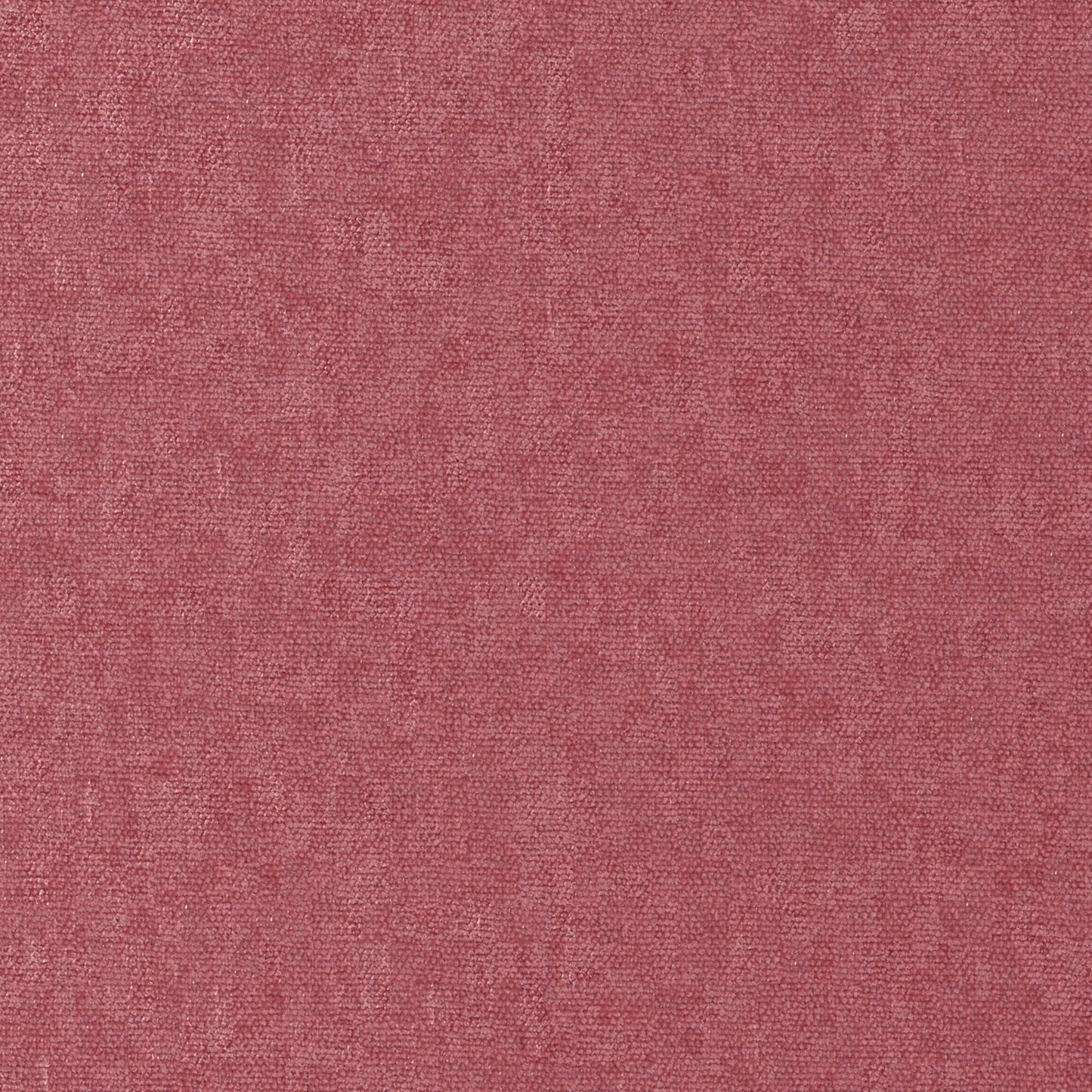 CHE881 Maxwell CHENILLES SOLIDS/TEXTURES # 881 PEONY CURLEDUPVIII
