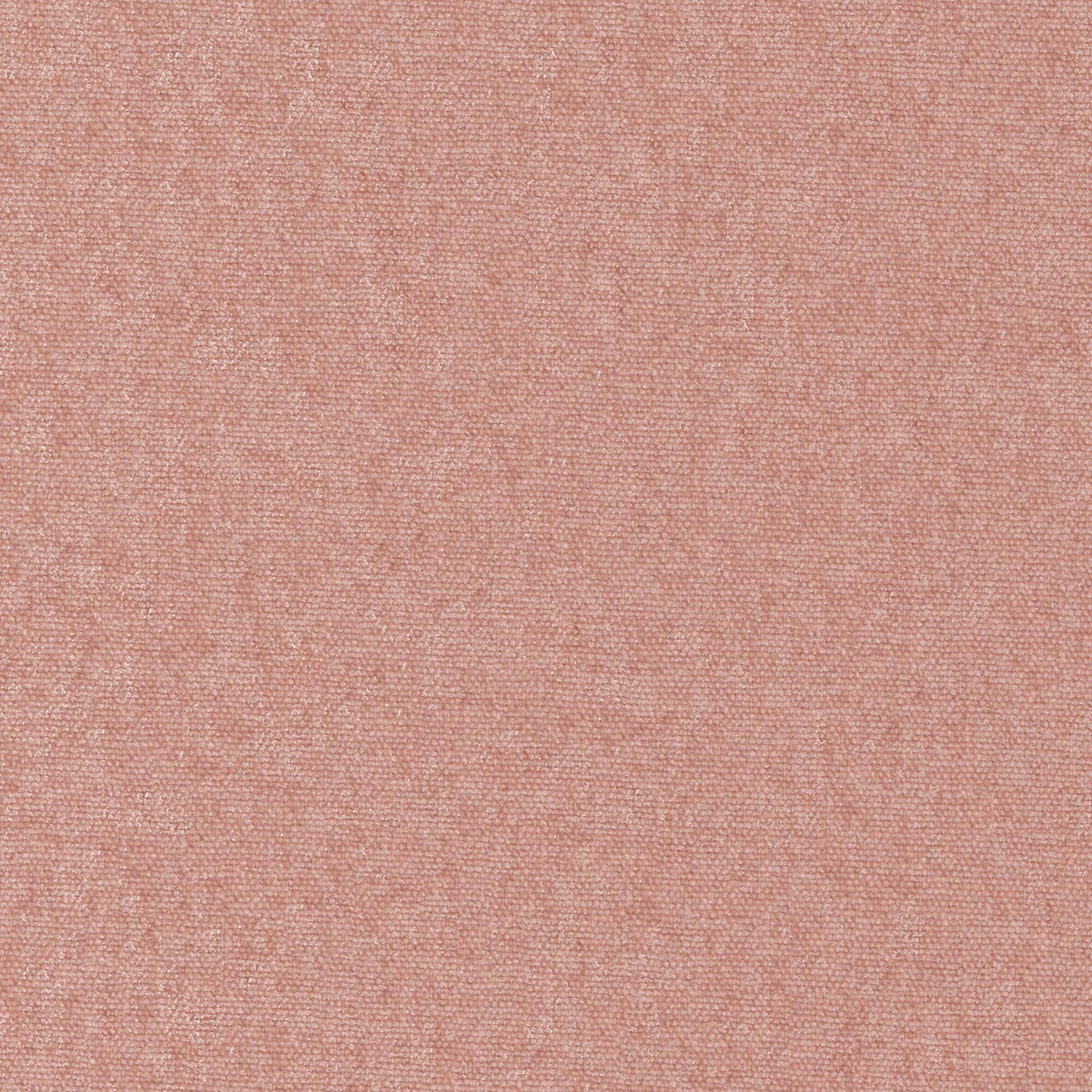 CHE882 Maxwell CHENILLES SOLIDS/TEXTURES # 882 BLOSSOM CURLEDUPVIII