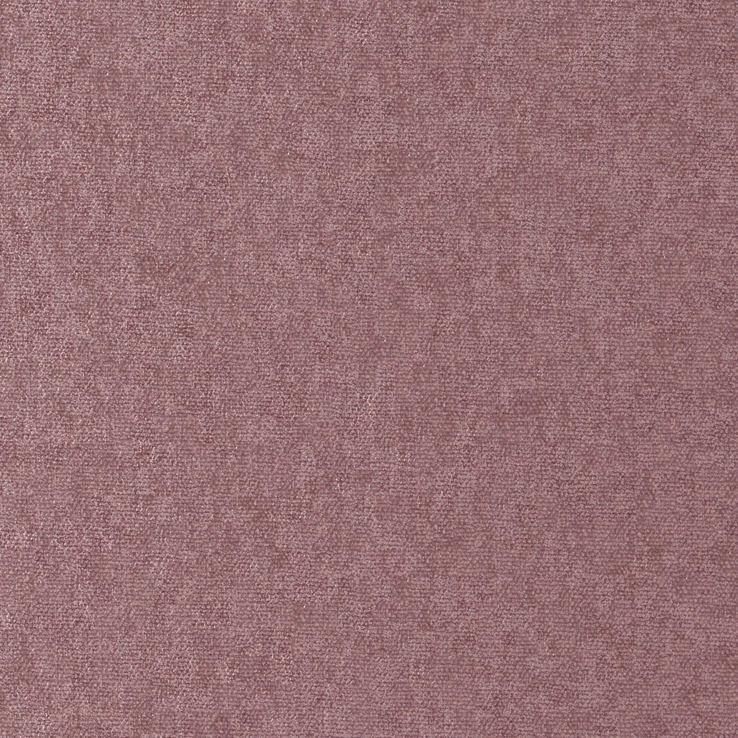CHE884 Maxwell CHENILLES SOLIDS/TEXTURES # 884 ORCHID CURLEDUPVIII