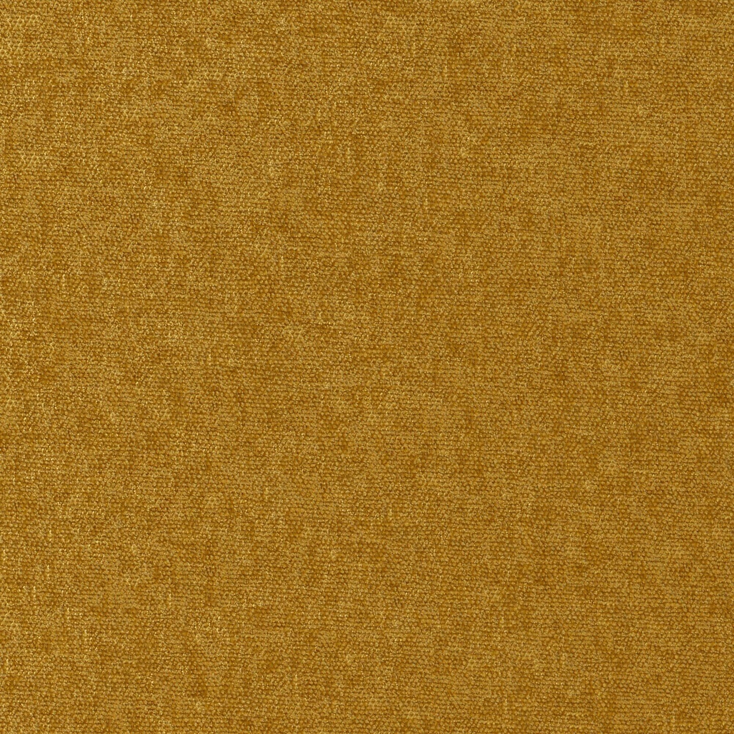 CHE903 Maxwell CHENILLES SOLIDS/TEXTURES # 903 BUTTERSCOTCH CURLEDUPVIII