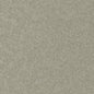 CHE905 Maxwell CHENILLES SOLIDS/TEXTURES # 905 FUNGHI CURLEDUPVIII