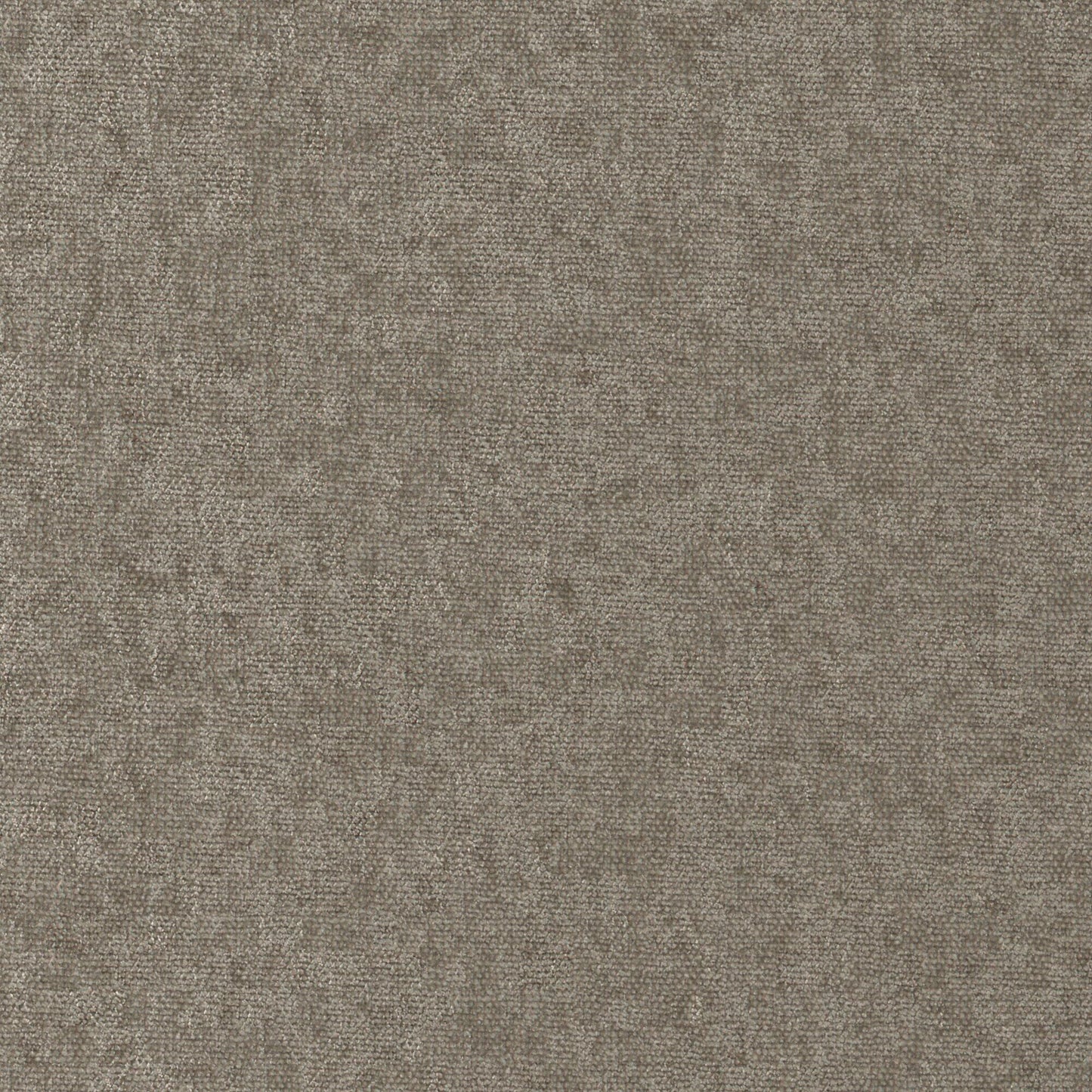 CHE907 Maxwell CHENILLES SOLIDS/TEXTURES # 907 PLAZA CURLEDUPVIII