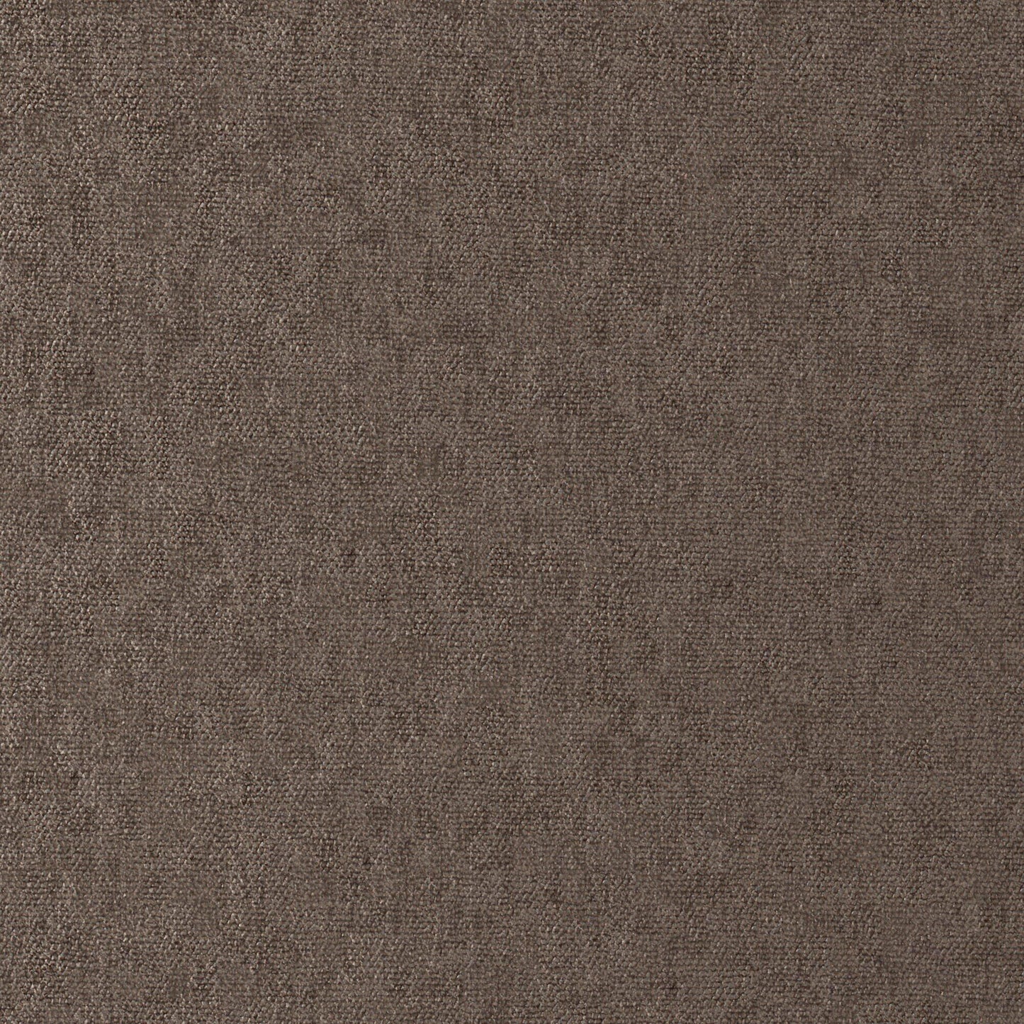 CHE914 Maxwell CHENILLES SOLIDS/TEXTURES # 914 BISON CURLEDUPVIII