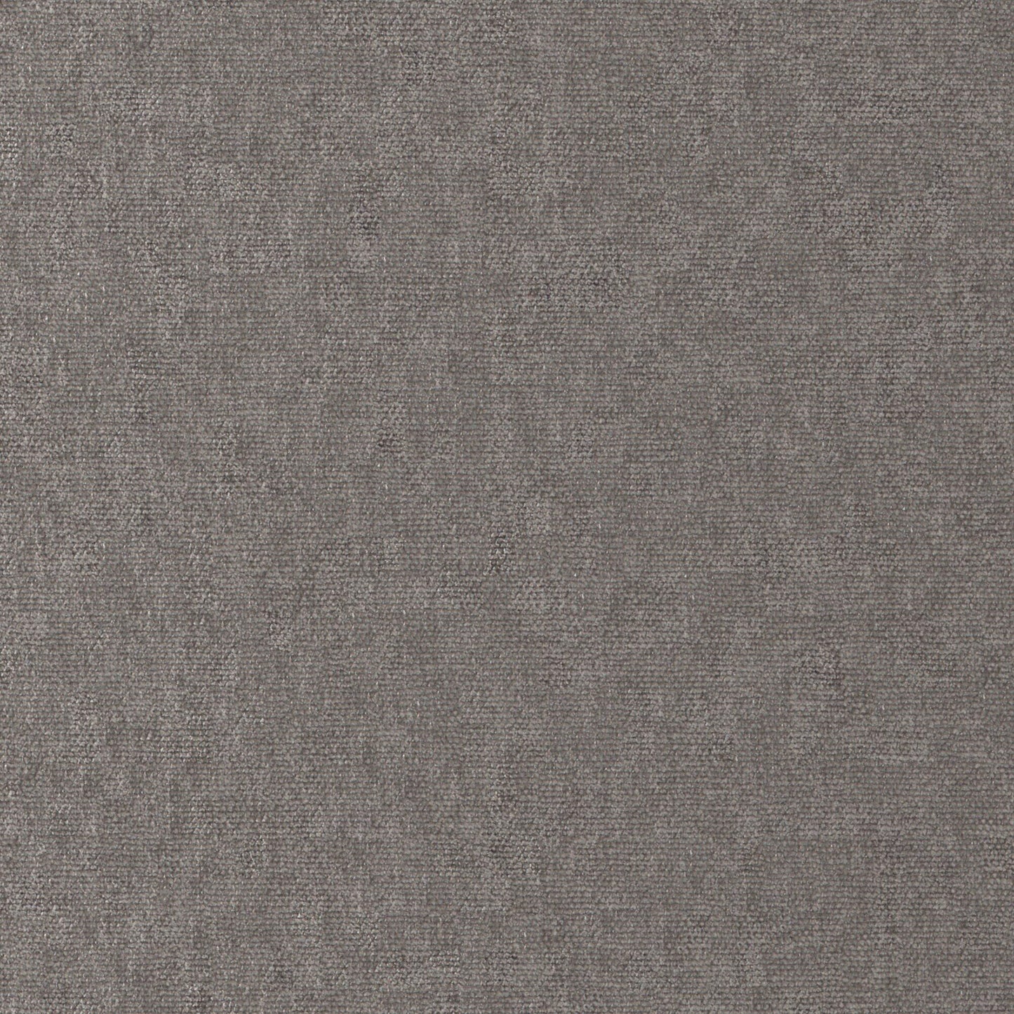 CHE921 Maxwell CHENILLES SOLIDS/TEXTURES # 921 WOLF CURLEDUPVIII