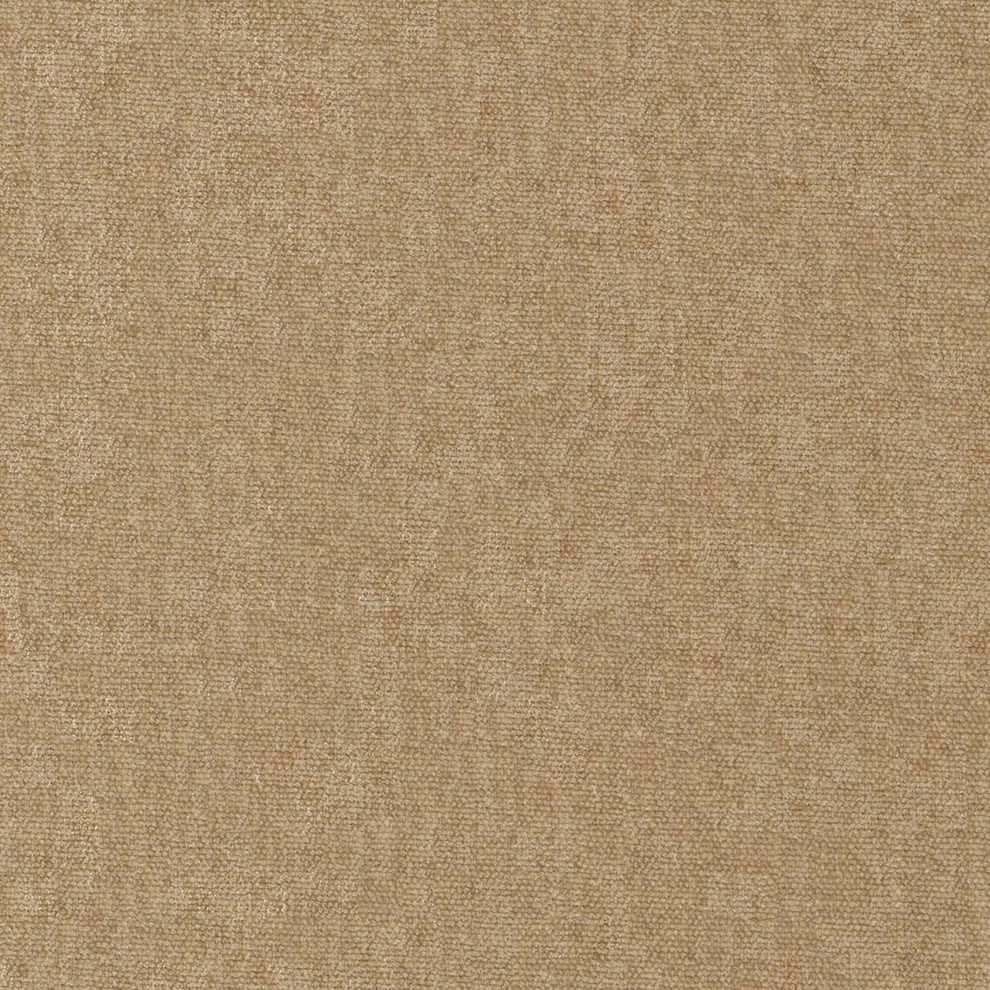 CHE951 Maxwell CHENILLES SOLIDS/TEXTURES # 951 BUFF CURLEDUPVIII