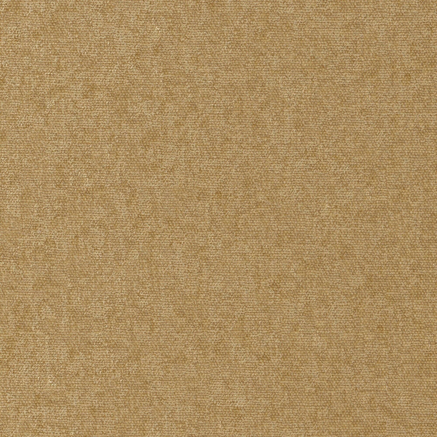 CHE952 Maxwell CHENILLES SOLIDS/TEXTURES # 952 ANTELOPE CURLEDUPVIII