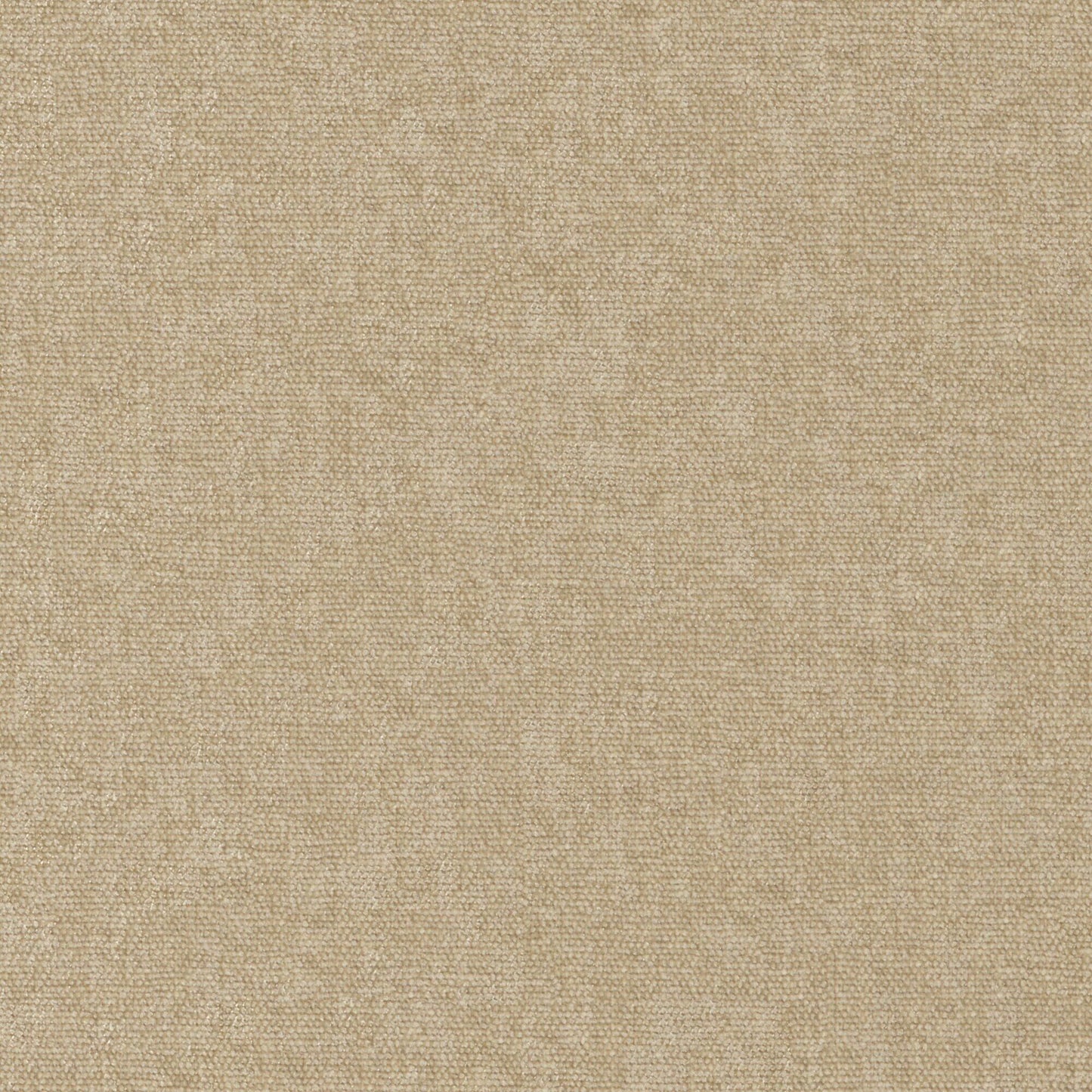 CHE954 Maxwell CHENILLES SOLIDS/TEXTURES # 954 FRESCO CURLEDUPVIII