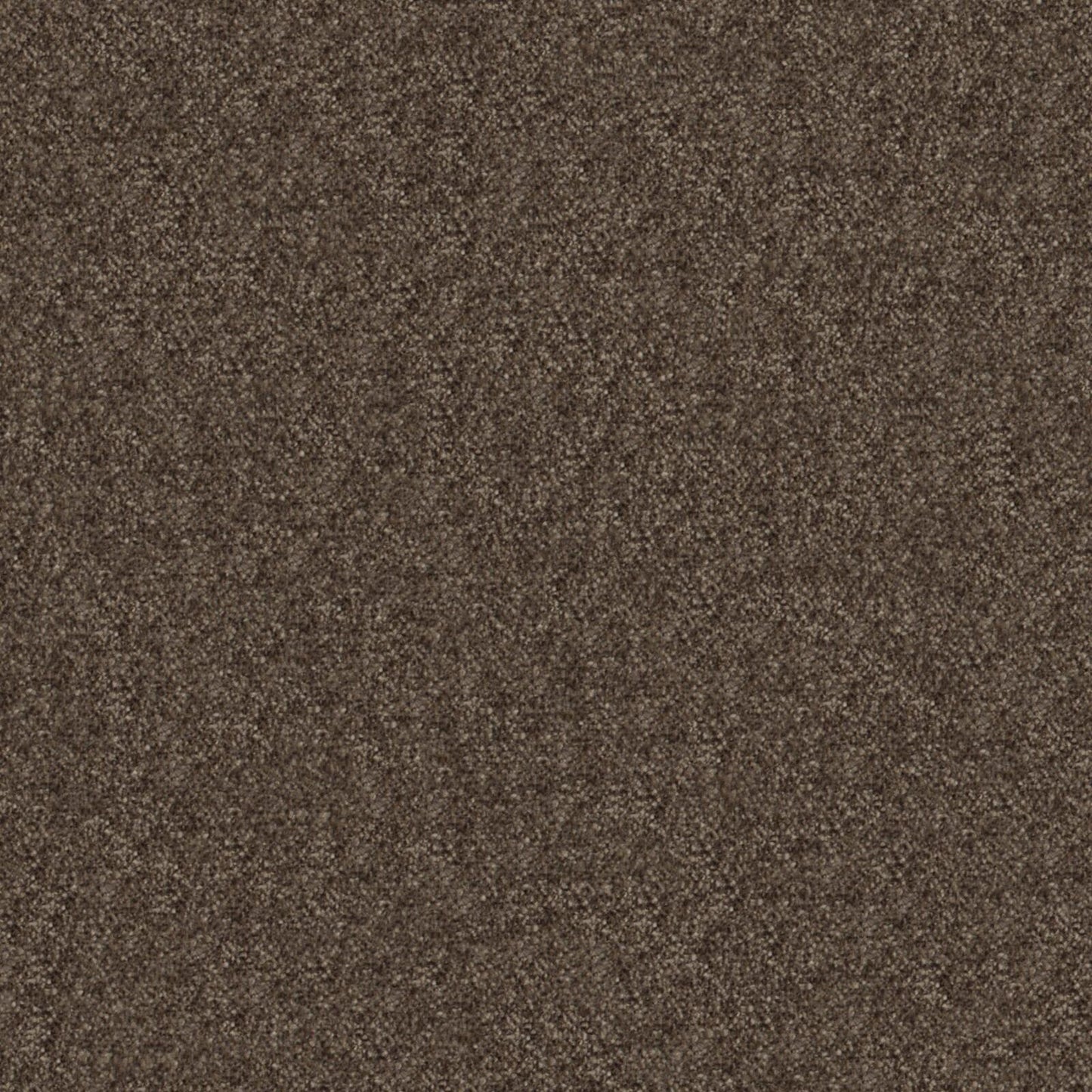 CHM442 Maxwell CHENILLES SOLIDS/TEXTURES # 442 BEAVER PV-VOL.4