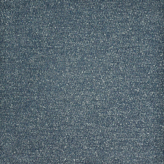 CHN655 Maxwell INDOOR/OUTDOOR # 655 NEPTUNE HG-ACTVI