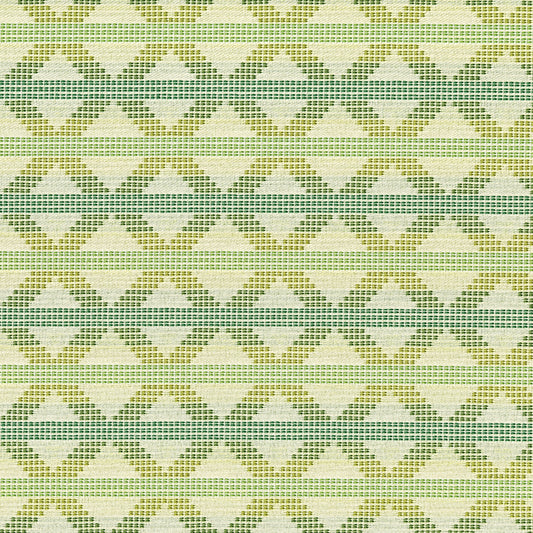CIK209 Maxwell UPHOLSTERY SOLID/TEXTURES # 209 ARBORETUM CRYPTONRINGSETS