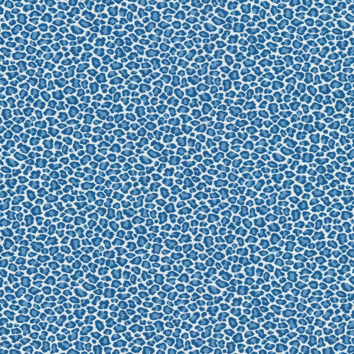 COPY-1 STOUT COPYCAT 1 BLUEBIRD BLUEBIRD MULTIPURPOSE