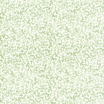 CORALCOAST-30 CORALCOAST SAGE KRAVET BASICS Fabrics Drapery Upholstery