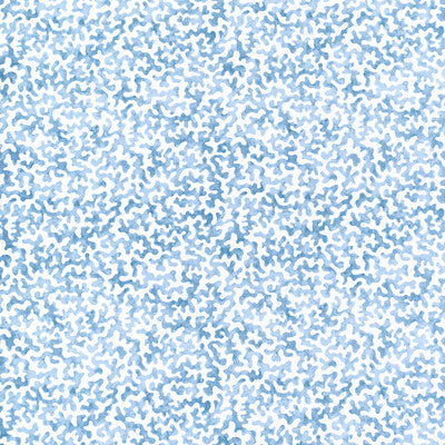 CORALCOAST-51 CORALCOAST WATER KRAVET BASICS Fabrics Drapery Upholstery