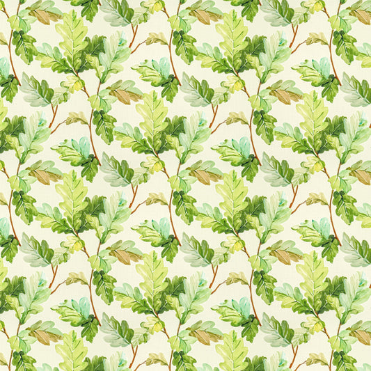 COYOTE Stout Multi-Purpose