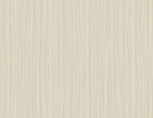 CP91705 Seabrook Designs A Lot More Textures Wallpaper Salo Rice Paper