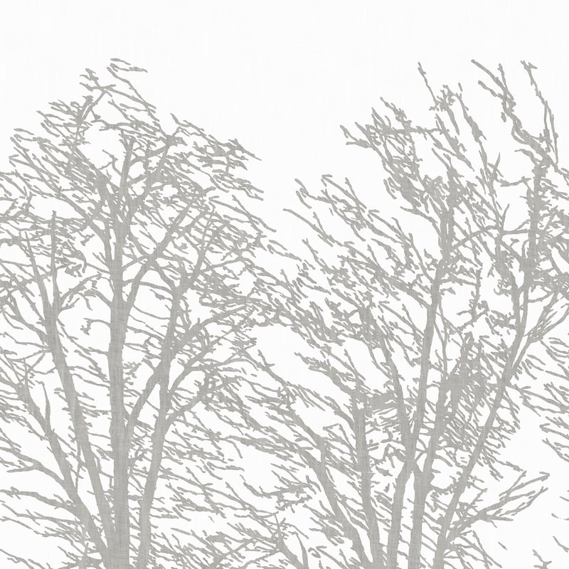 CWM10090 Coraggio White/Silver Wallpaper
