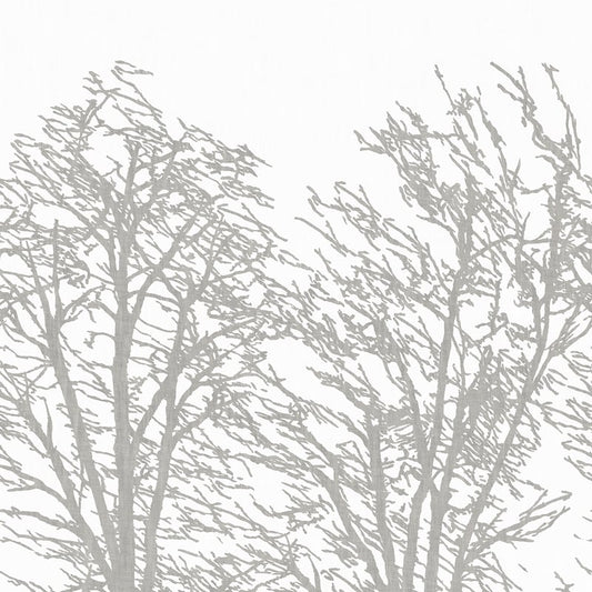 CWM10090 Coraggio White/Silver Wallpaper