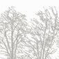 CWM10090 Coraggio White/Silver Wallpaper