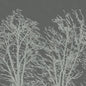 CWM10092 Coraggio Pewter/Silver Wallpaper