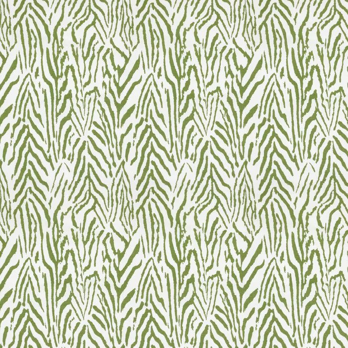 CYRE-1 STOUT CYRENE 1 GRASS GRASS MULTIPURPOSE